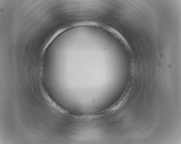 X0000075410860200609291704