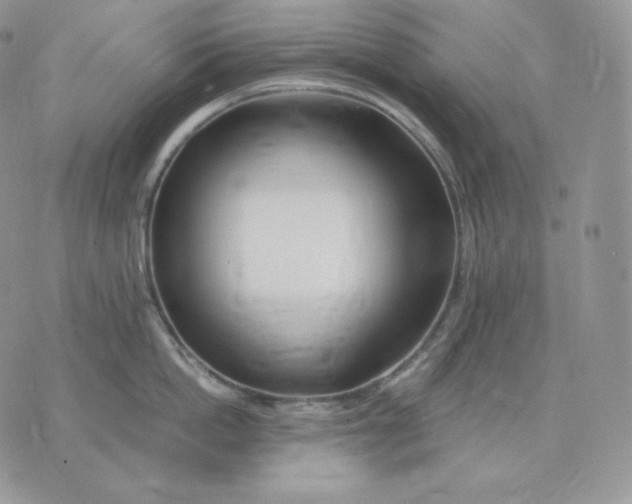 X0000075410862200609291704