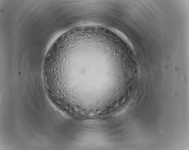 X0000075410863200609291704