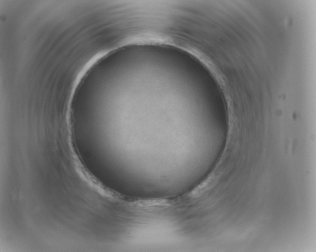 X0000075410864200609291704