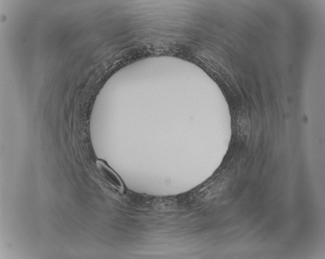 X0000075410865200609291704