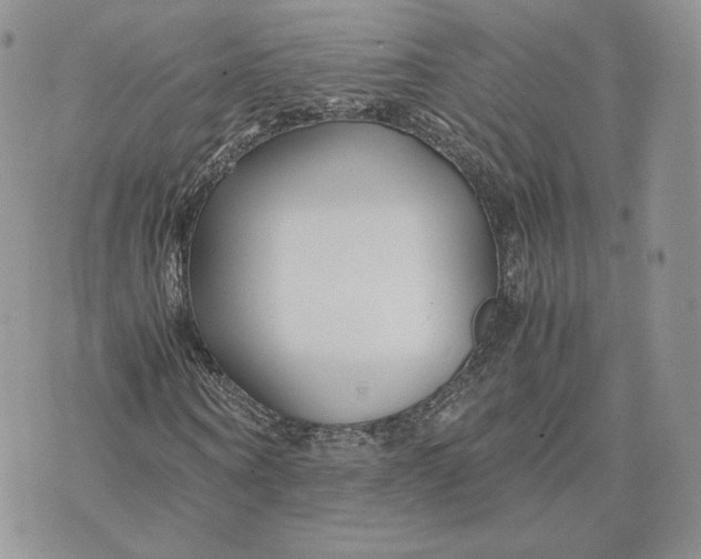 X0000075410866200609291704