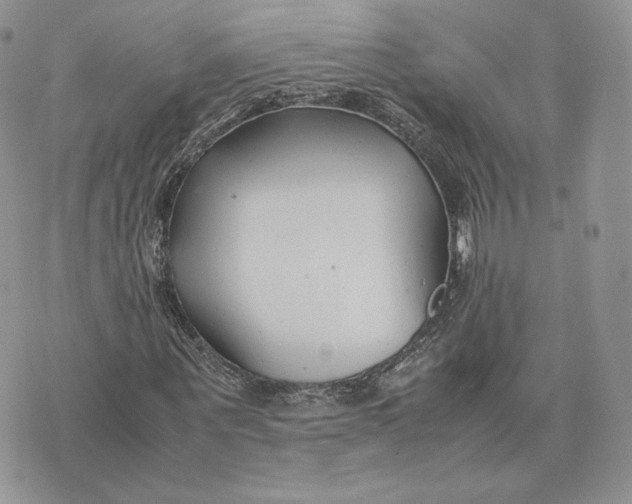 X0000075410867200609291704