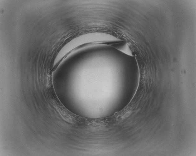 X0000075410868200609291704