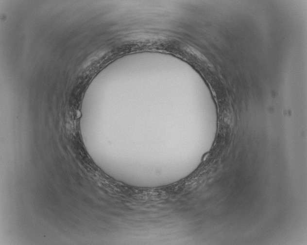 X0000075410869200609291704