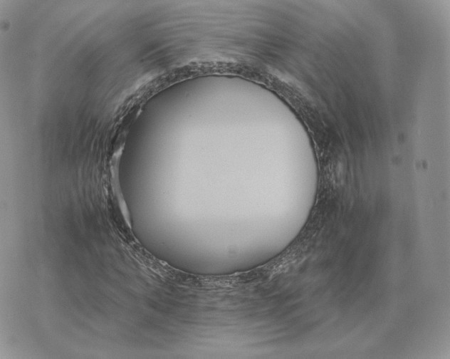 X0000075410870200609291704