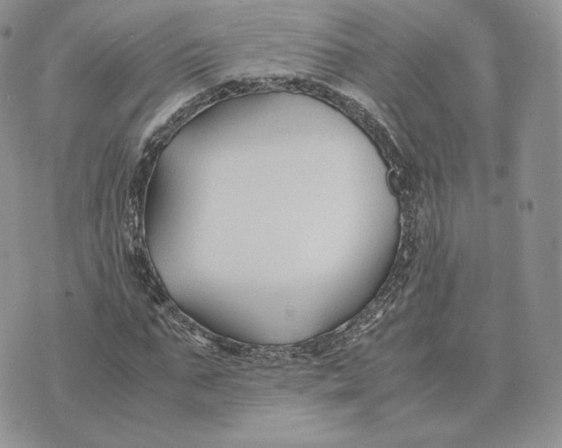 X0000075410871200609291704