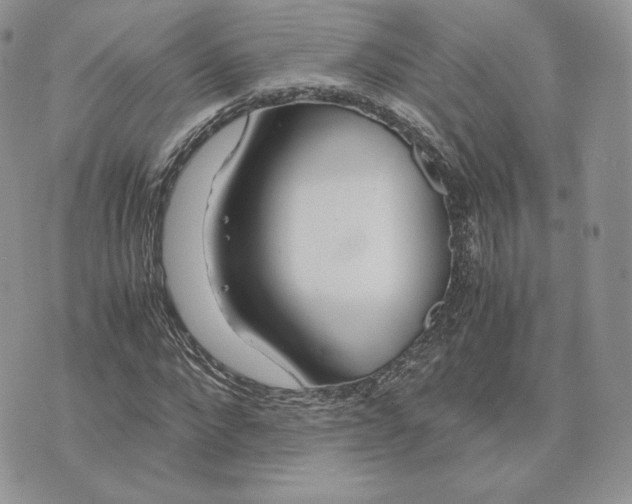 X0000075410872200609291704