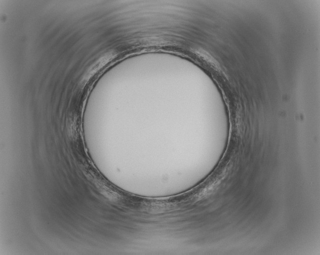 X0000075410873200609291703