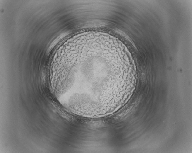 X0000075410874200609291703