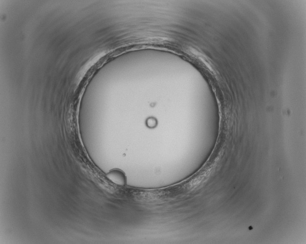 X0000075410875200609291703