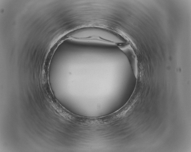 X0000075410876200609291703