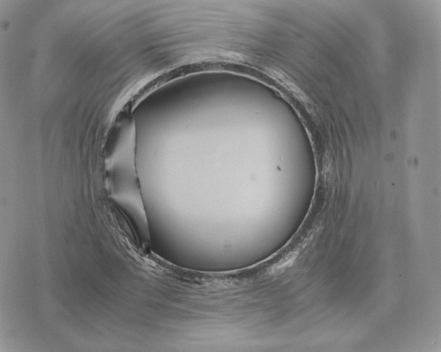 X0000075410877200609291703