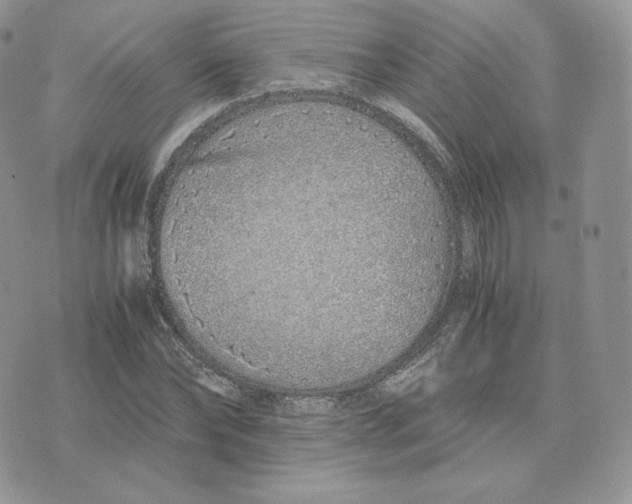 X0000075410878200609291703