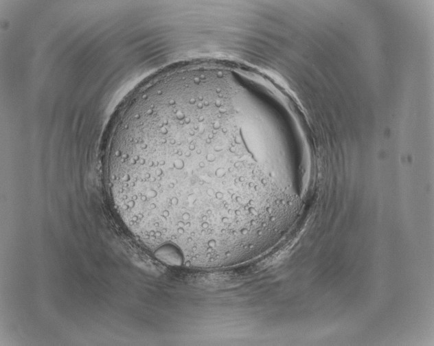 X0000075410879200609291703