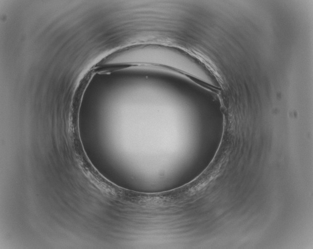 X0000075410880200609291703