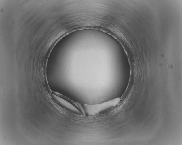 X0000075410881200609291703