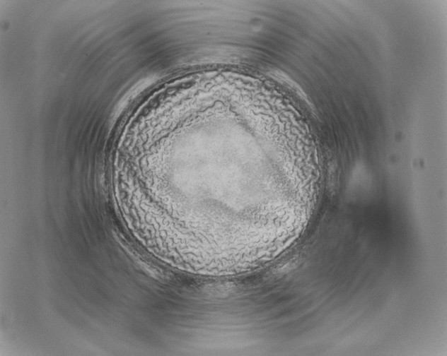 X0000075410882200609291703