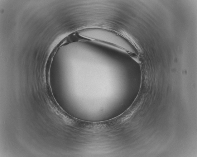 X0000075410884200609291703