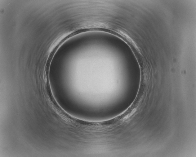 X0000075410885200609291703