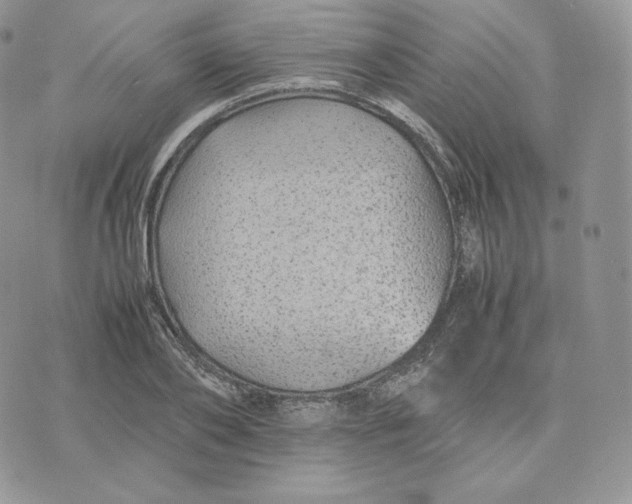 X0000075410886200609291703