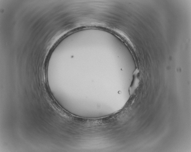 X0000075410887200609291703