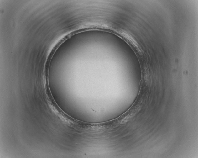 X0000075410888200609291703