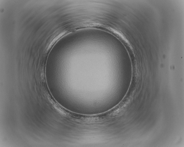 X0000075410889200609291703