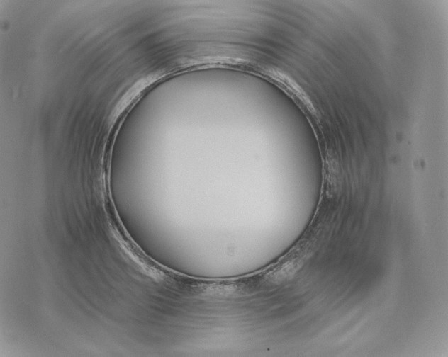 X0000075410890200609291703