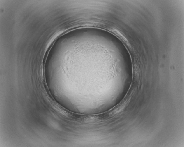 X0000075410891200609291703