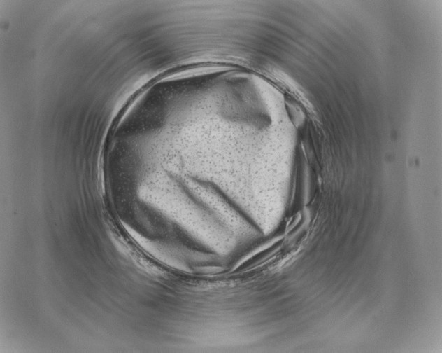 X0000075410892200609291703