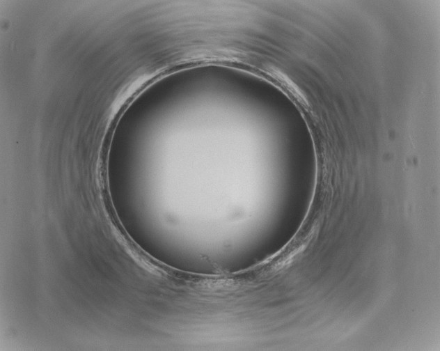 X0000075410893200609291703