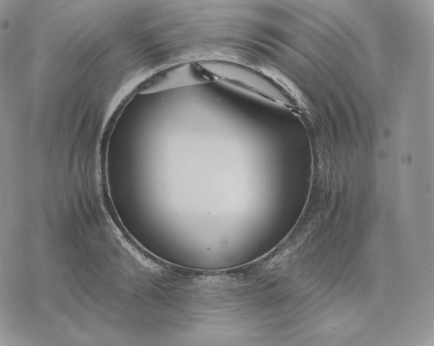 X0000075410894200609291703