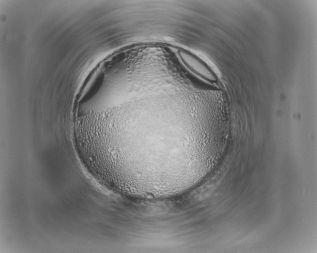 X0000075410895200609291703