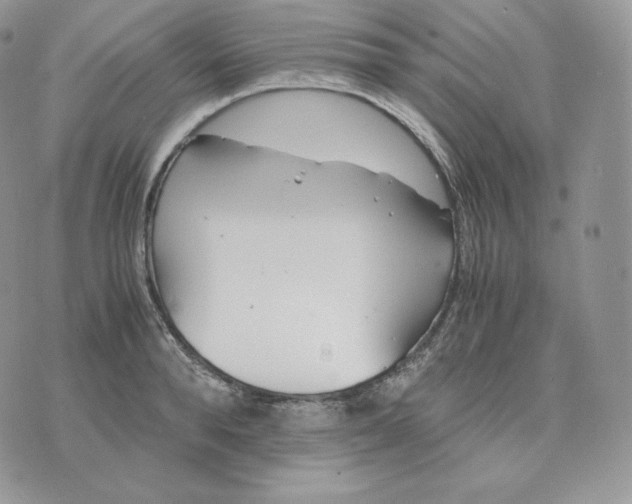 X0000075410896200609291703