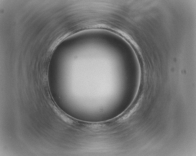 X0000075410897200609291703