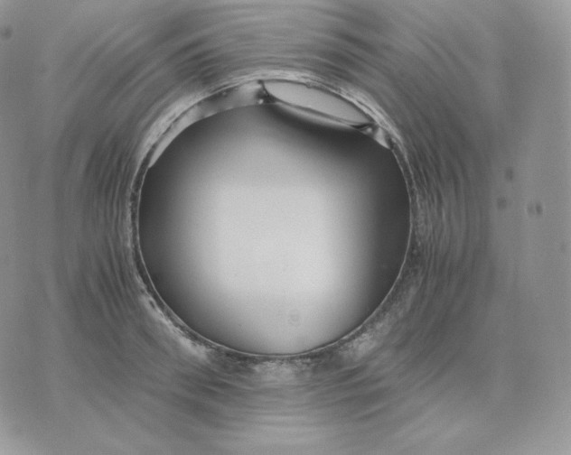 X0000075410898200609291703