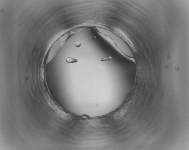 X0000075410900200609291703