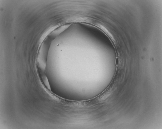 X0000075410901200609291703