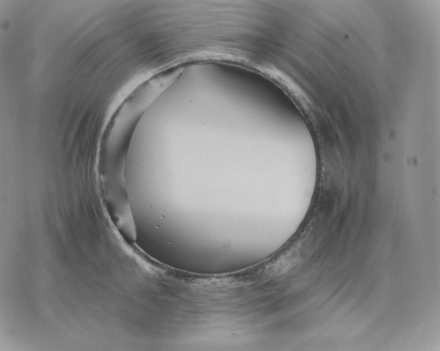 X0000075410902200609291703