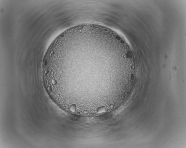 X0000075410903200609291703