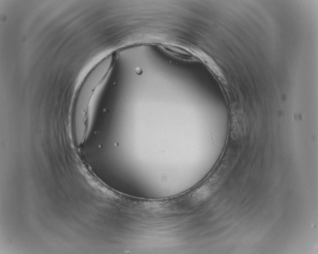 X0000075410904200609291703