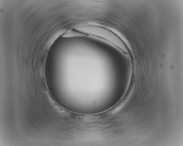 X0000075410905200609291703