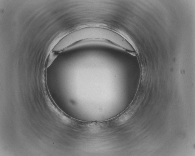 X0000075410906200609291703