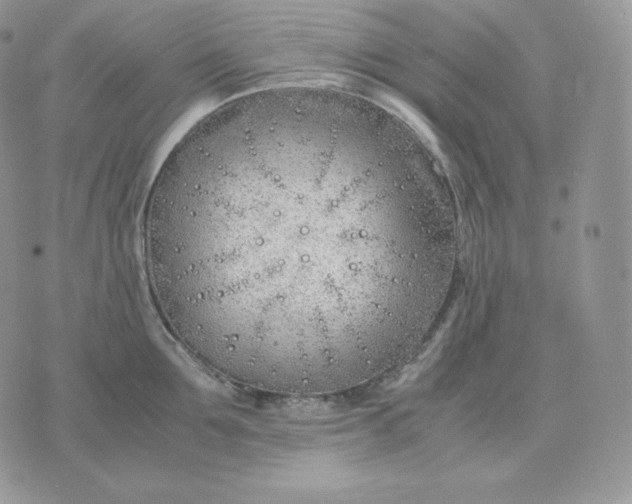 X0000075410907200609291703