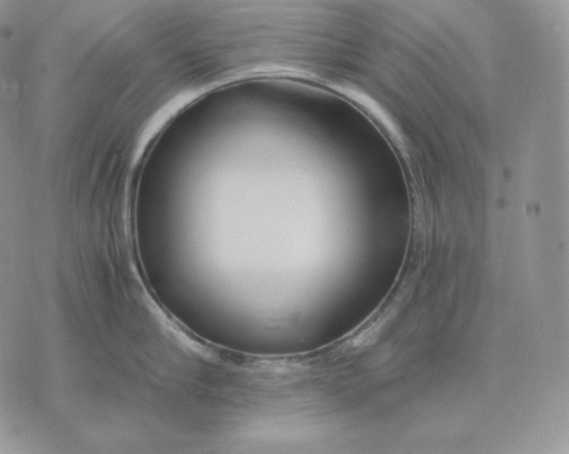 X0000075410910200609291703