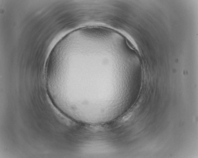 X0000075410911200609291703