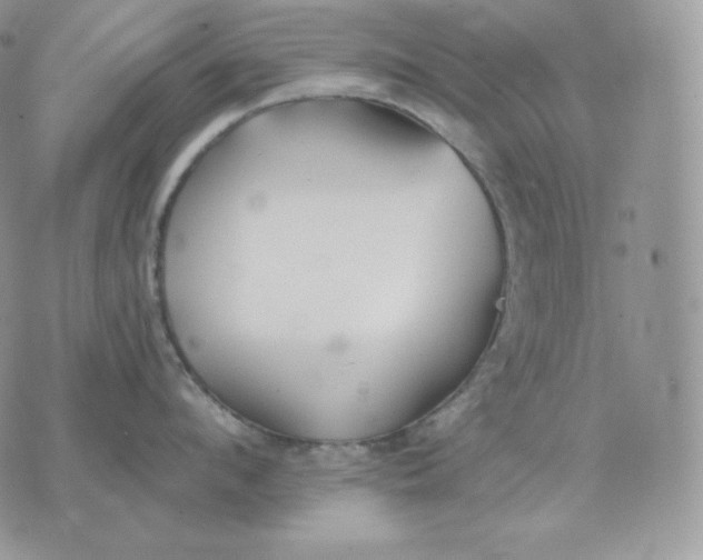 X0000075410912200609291703