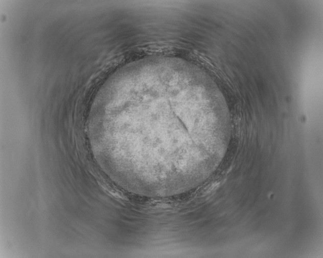 X0000075410913200609291702