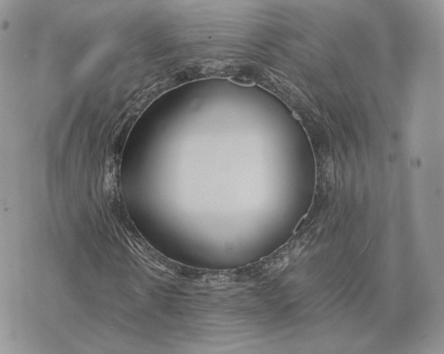 X0000075410914200609291702